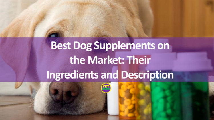Best dog supplement