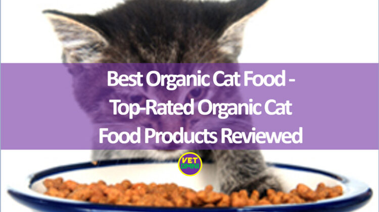 organic cat food