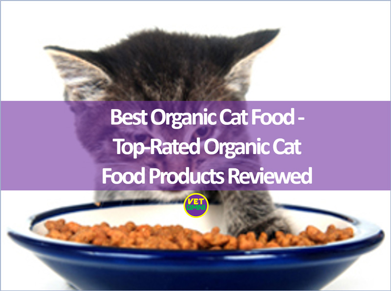 Best Organic Cat Food TopRated Organic Cat Food Products Reviewed