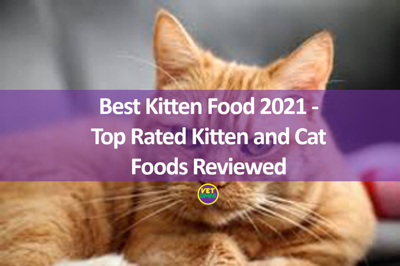 55 HQ Photos Instinct Raw Cat Food Reddit Raw Feeding Your Cat Just