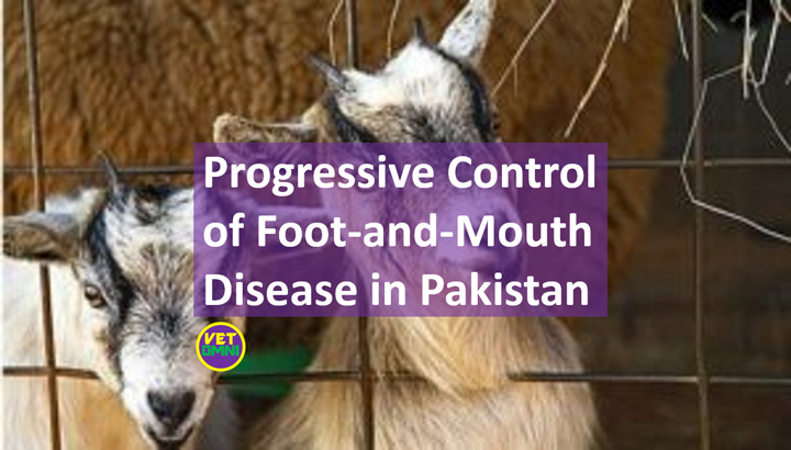 Foot-and-mouth disease