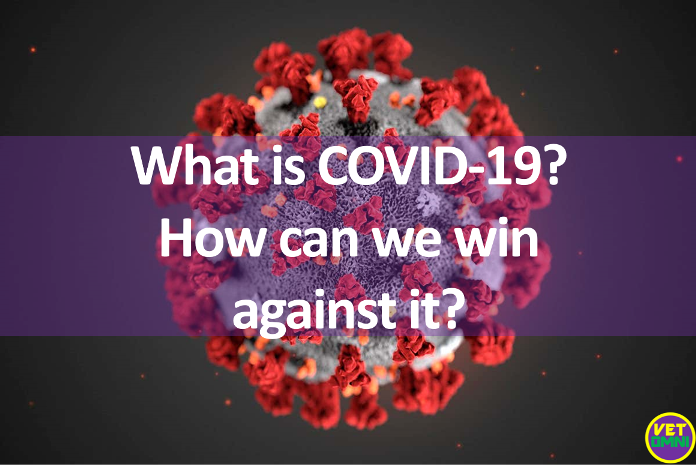 Feature image 1.1 1 - What is COVID-19? How can we win against it?
