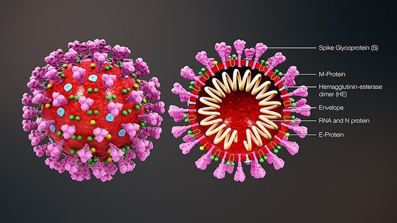 First image adju - The 2019 Novel Coronavirus (2019-nCoV): A New Threat to the World