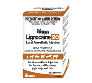 Image 1 300x272 - The Beneficial Use of Lignocaine in Animals During Rectal Palpation