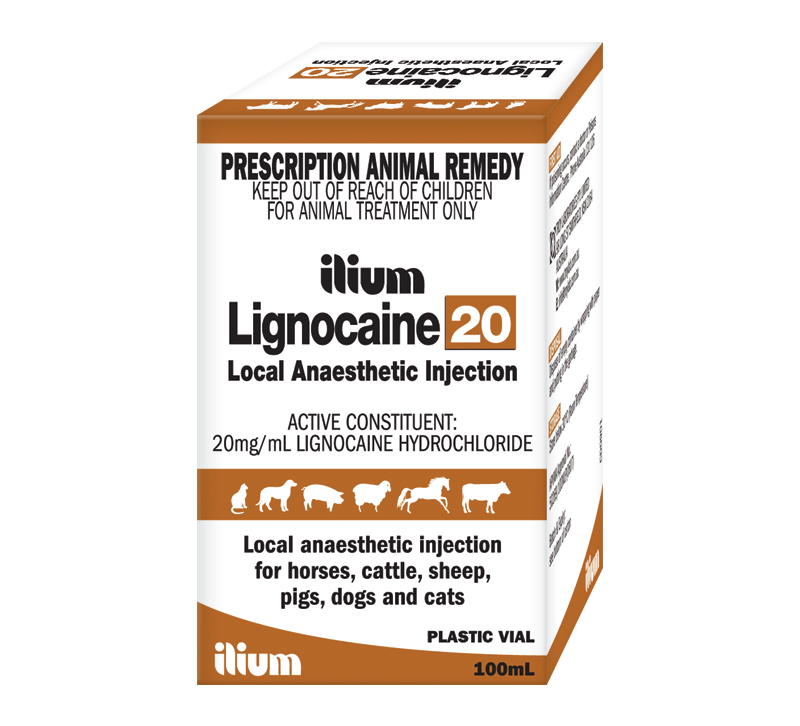 The Beneficial Use of Lignocaine in Animals During Rectal Palpation