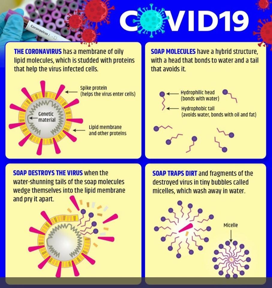 how soap kills virus - Updates on the Novel Coronavirus (2019-nCoV) Outbreak in Pakistan
