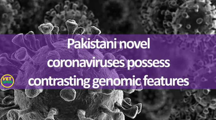 Pakistani coronavirus