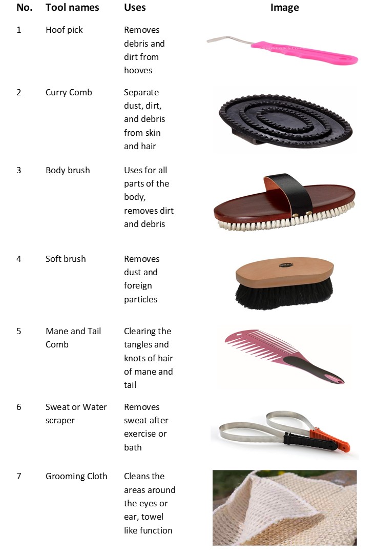 Grooming tools 1 - Interesting facts about horses that you may want to know