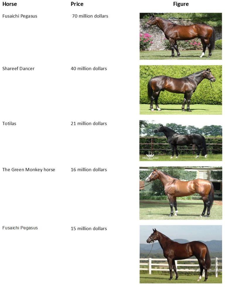 Interesting facts about horses that you may want to know